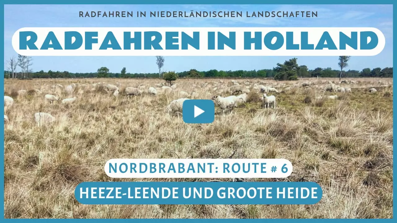 Virtuelles Radfahren in Heeze-Leende und Groote Heide