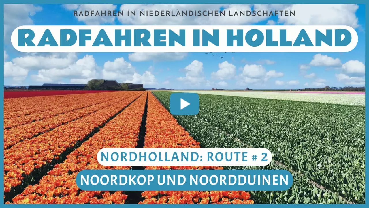 Virtuelles Radfahren in Noordkop und Noordduinen