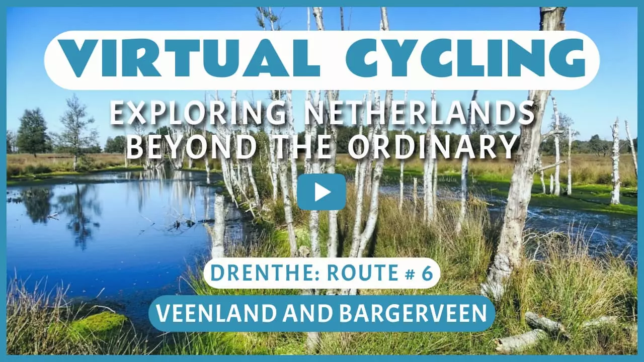Virtual cycling in Veenland and Bargerveen