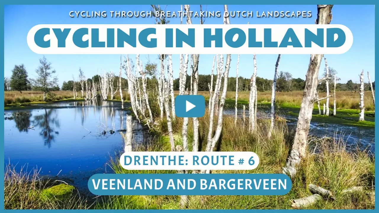 Virtual cycling through Veenland and Bargerveen