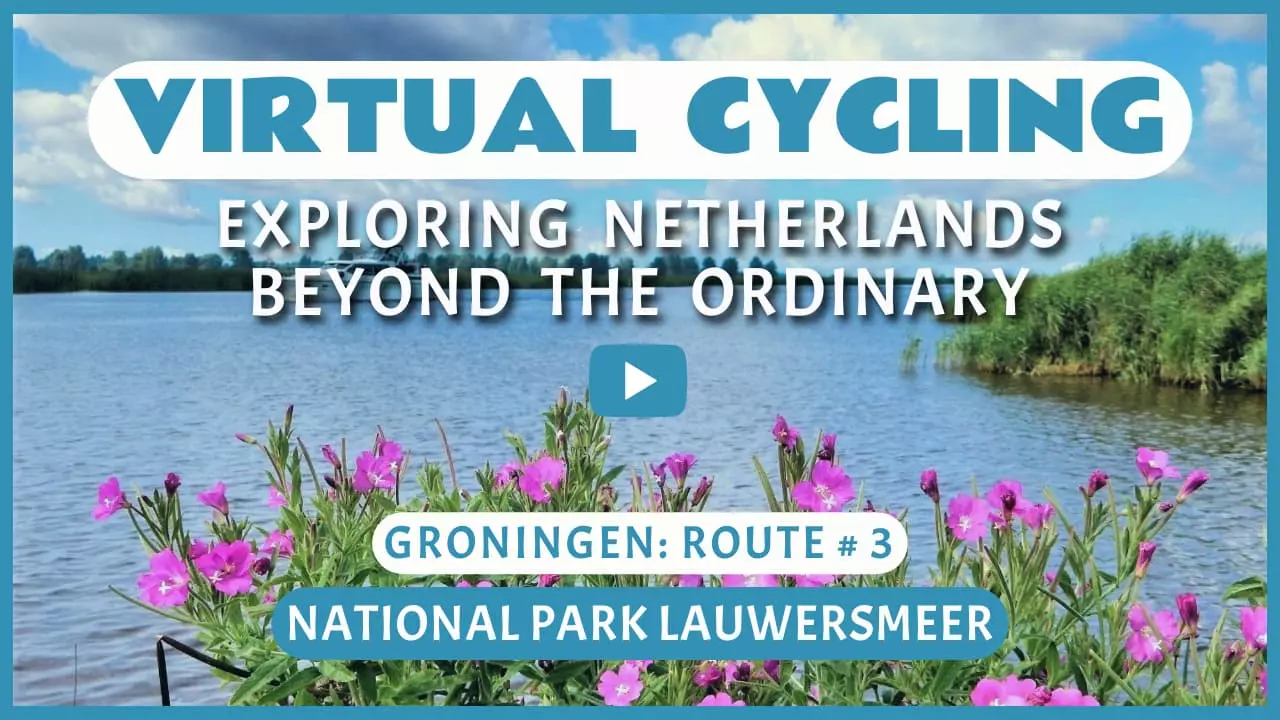 Virtual cycling in National Park Lauwersmeer