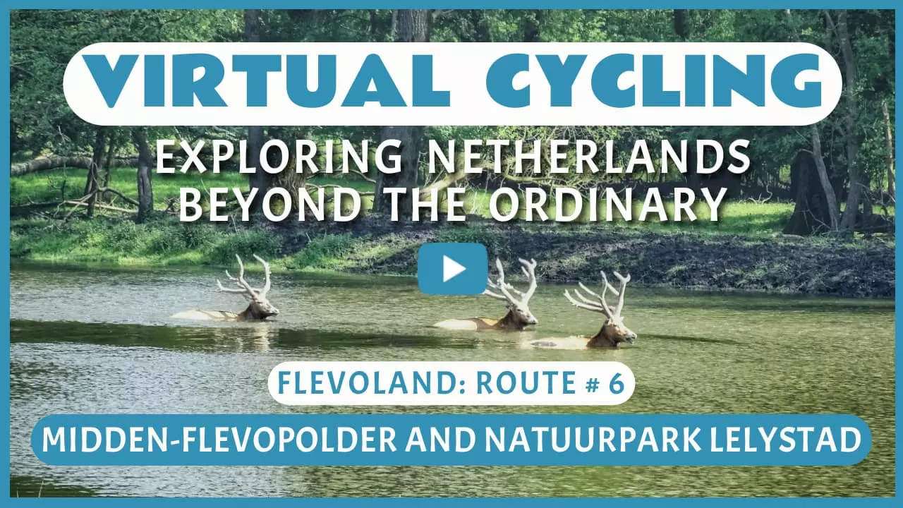 Virtual cycling in Midden-Flevopolder and Natuurpark Lelystad