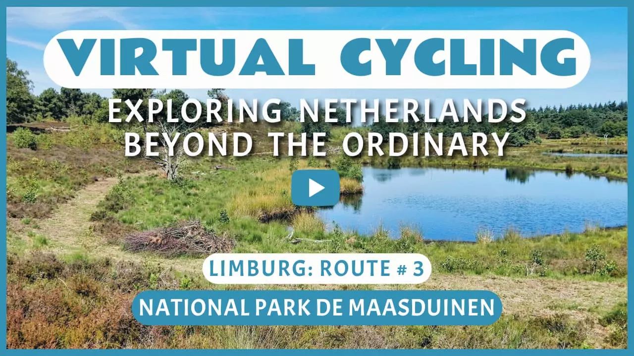 Virtual cycling in National Park De Maasduinen