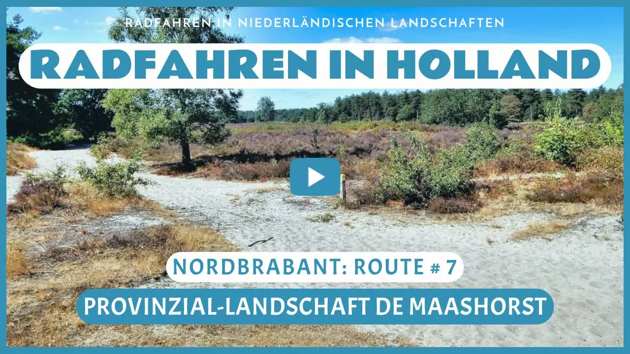 Virtuelles Radfahren in Provinzlandschaft De Maashorst