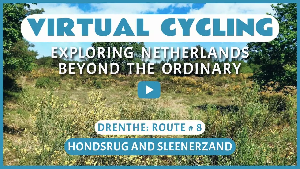 Virtual cycling in Hondsrug and Sleenerzand