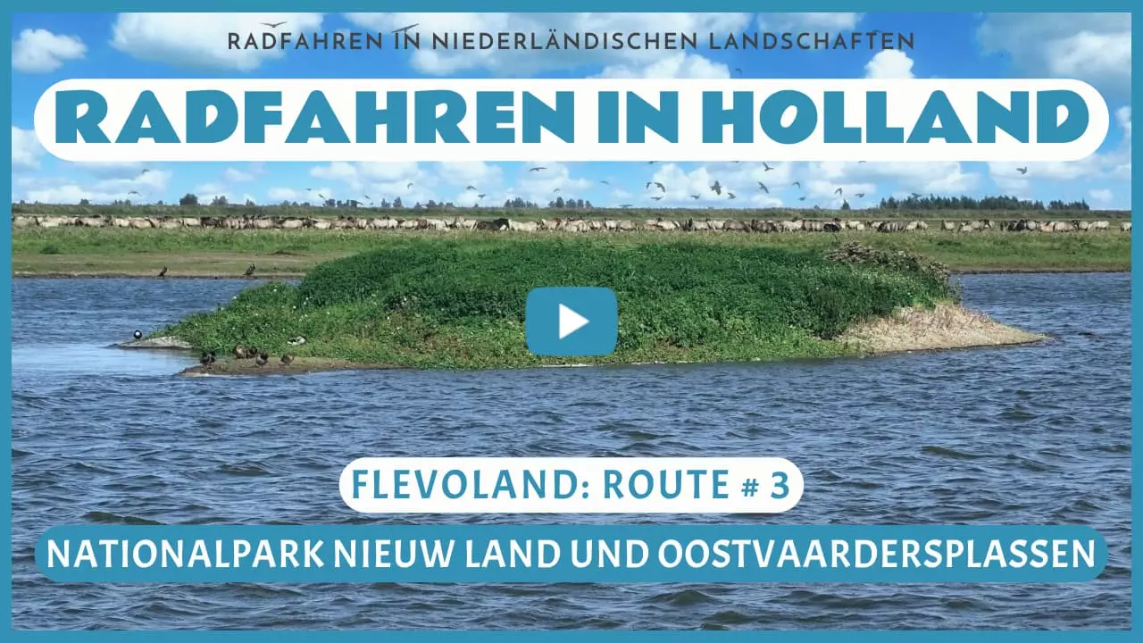 Virtuelles Radfahren in Nationalpark Nieuw Land und Oostvaardersplassen