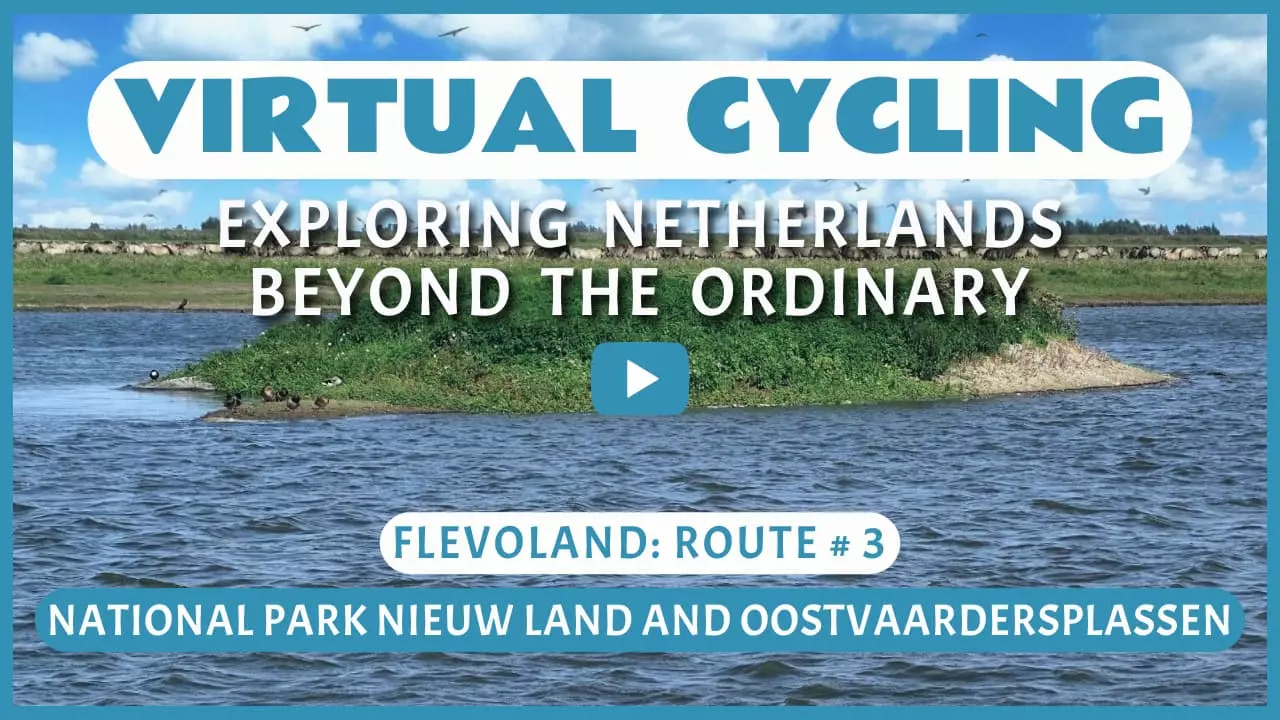 Virtual cycling in National Park Nieuw Land and Oostvaardersplassen