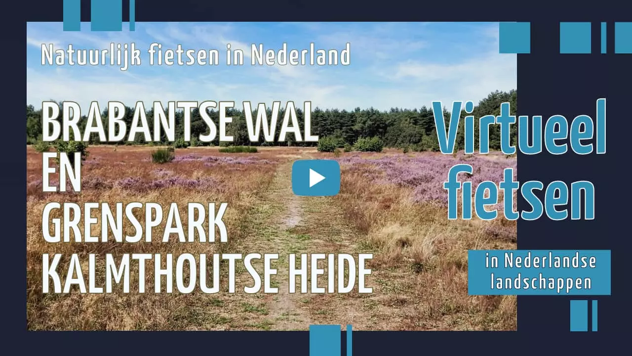 Virtueel fietsen in Brabantse Wal en Grenspark Kalmthoutse Heide