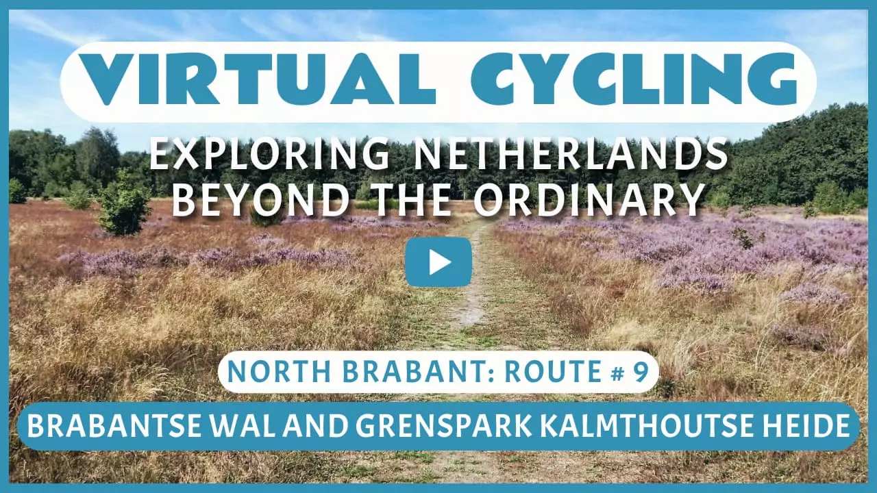 Virtual cycling in Brabantse Wal and Grenspark Kalmthoutse Heide