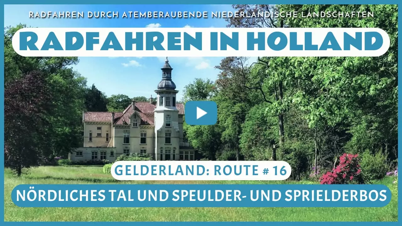 Virtuelles Radfahren durch das Nördliche Tal und den Speulder- und Sprielderbos