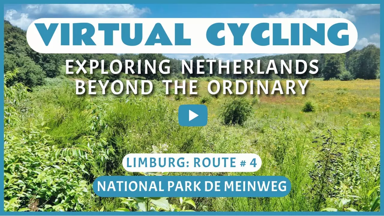 Virtual cycling in National Park De Meinweg