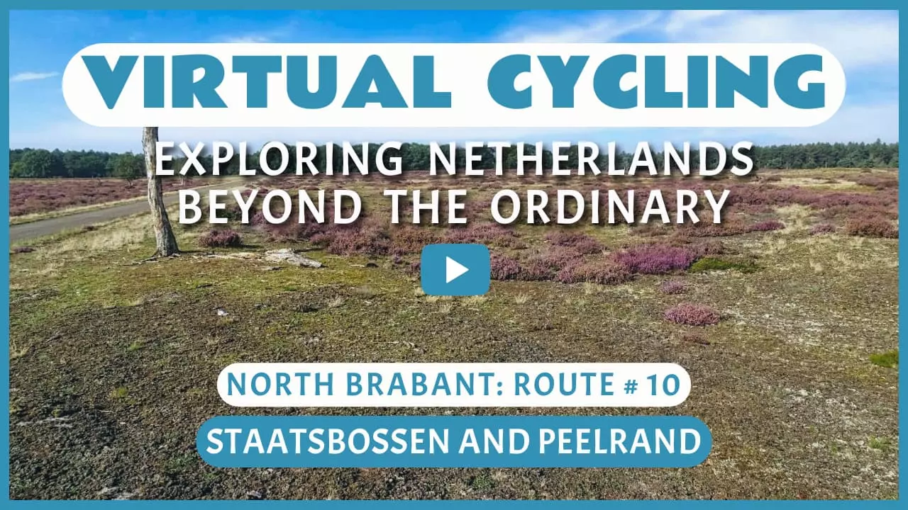 Virtual cycling in Staatsbossen and Peelrand