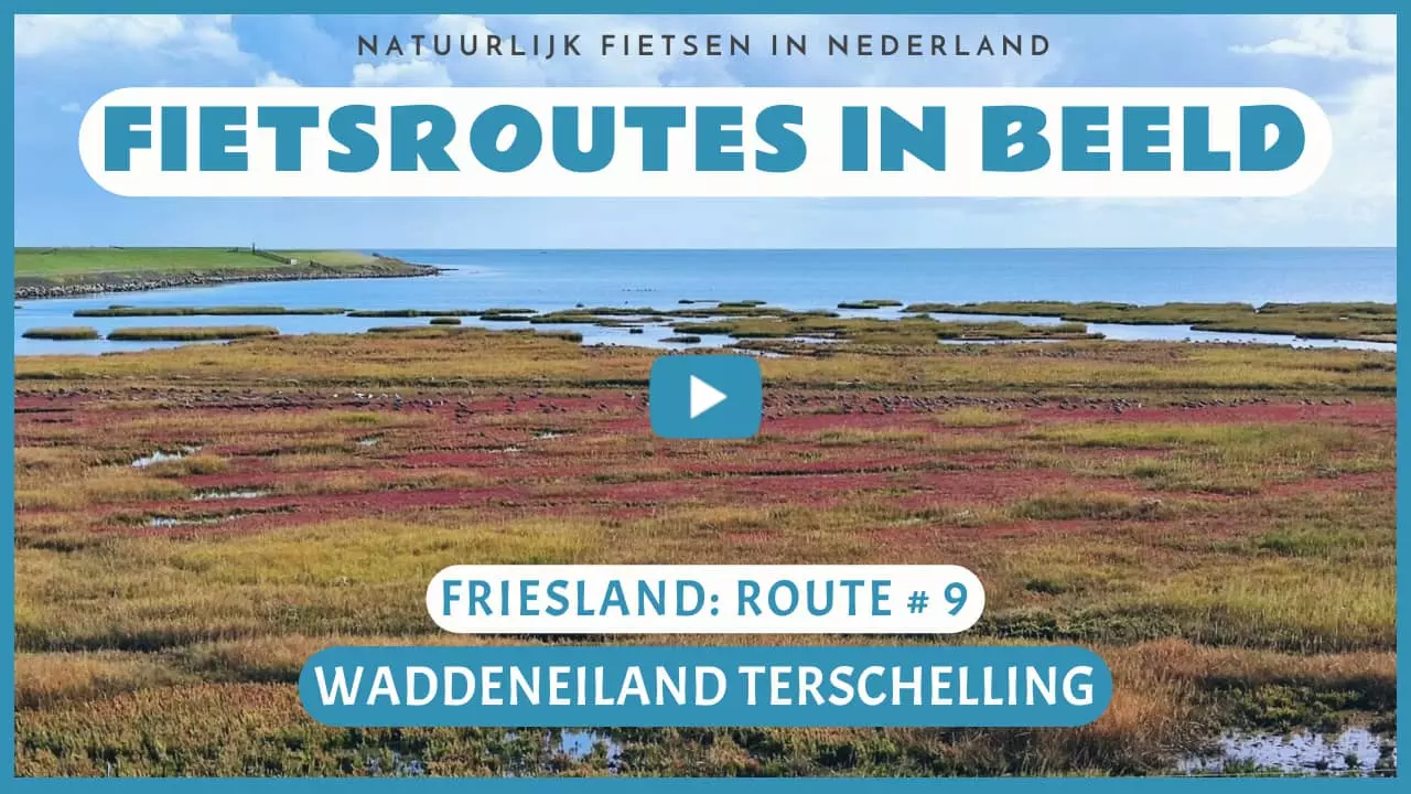 Virtueel fietsen op Waddeneiland Terschelling