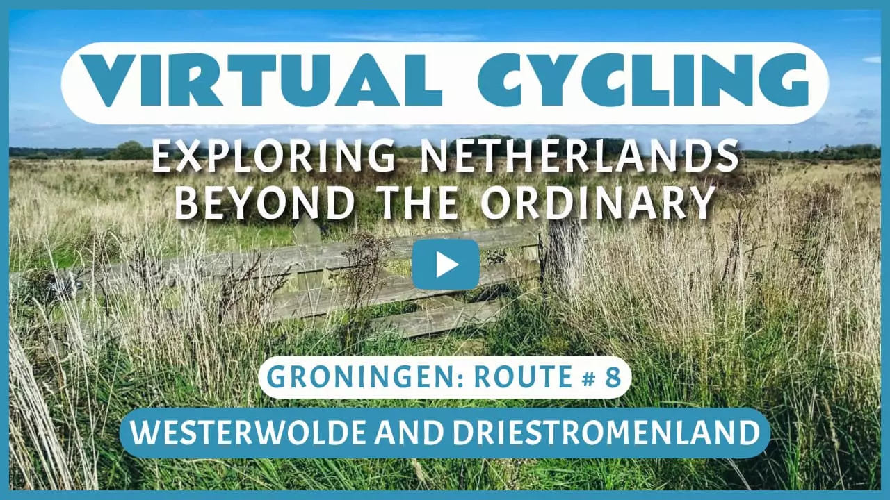 Virtual cycling in Westerwolde and Driestromenland