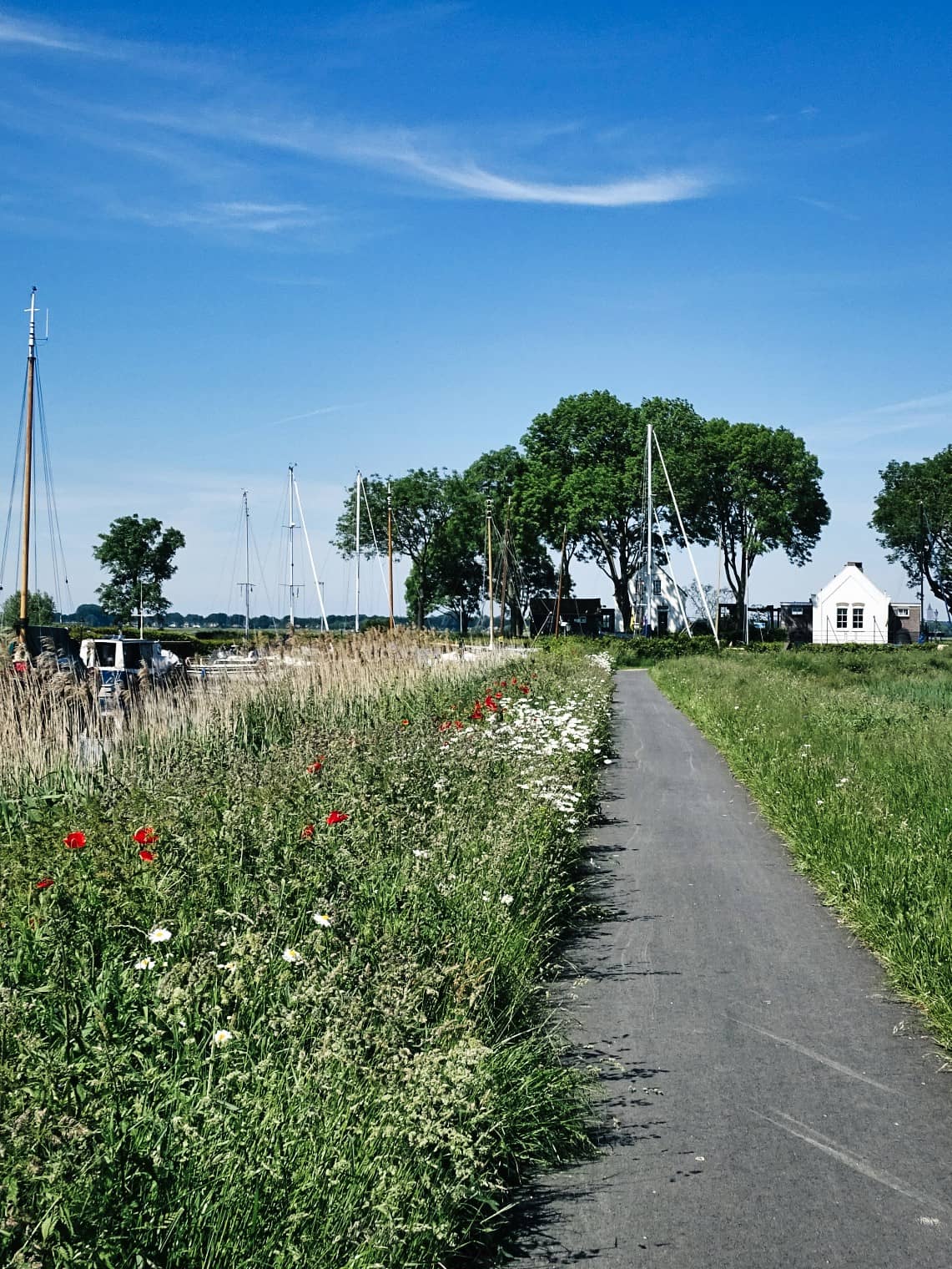 Cycling in your favorite landscape with Fietsroutes in beeld
