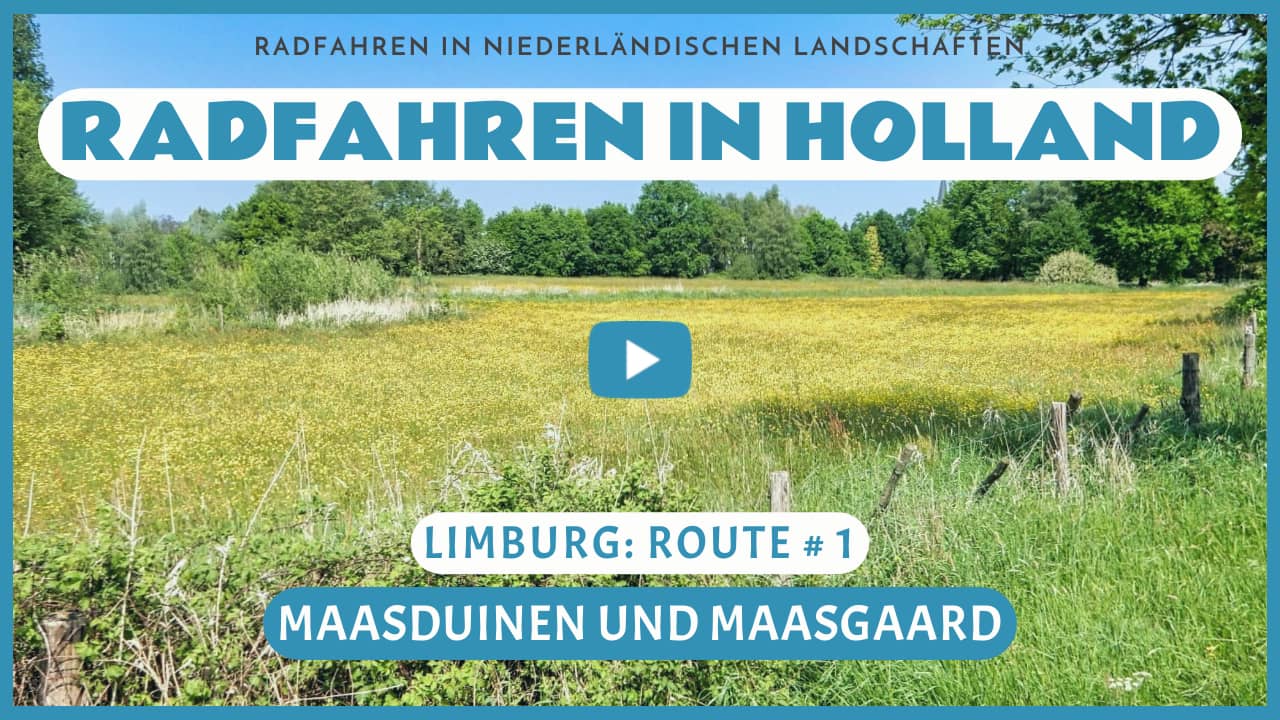 Virtuelles Radfahren durch die Maasduinen und die Maasgaard