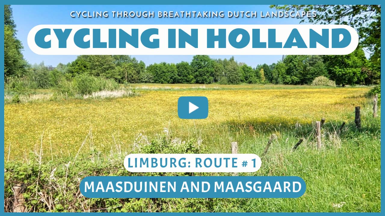 Virtual cycling through the Maasduinen and the Maasgaard