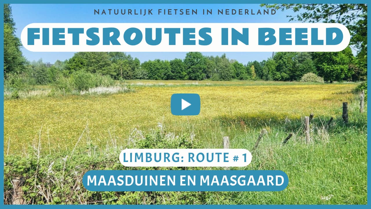 Virtueel fietsen door de Maasduinen en de Maasgaard