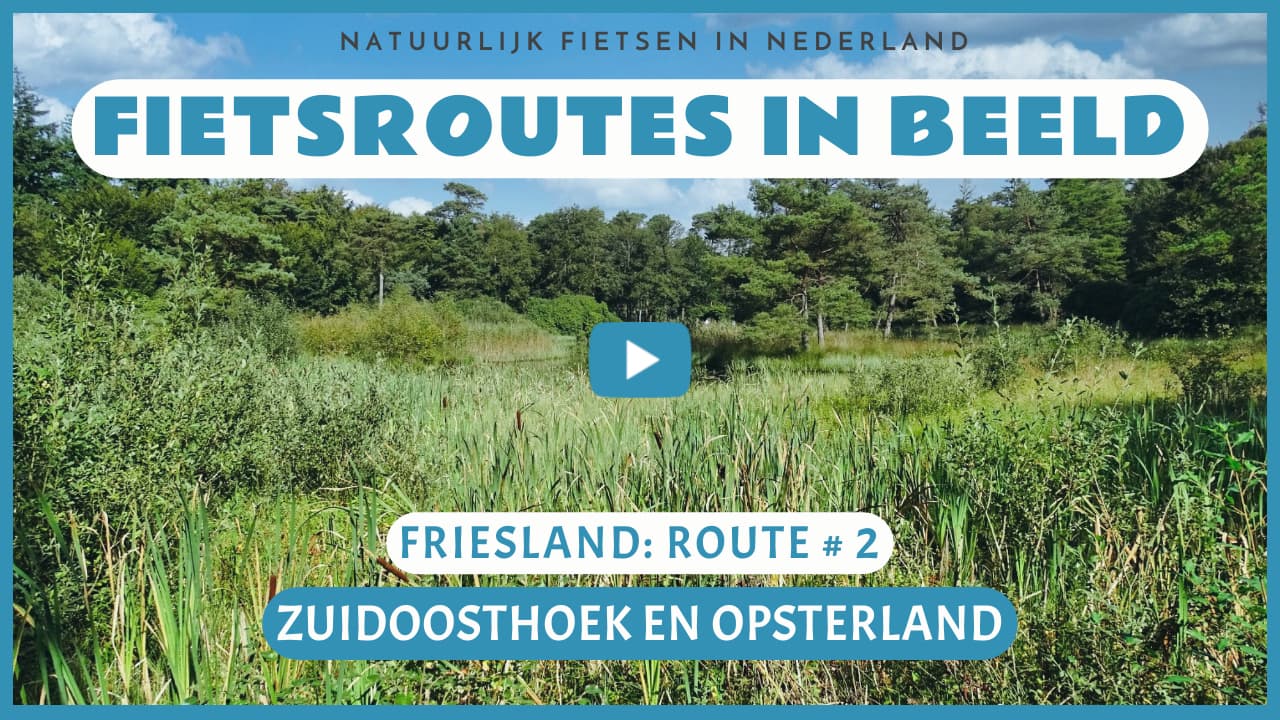 Virtueel fietsen in de Zuidoosthoek en het Opsterland