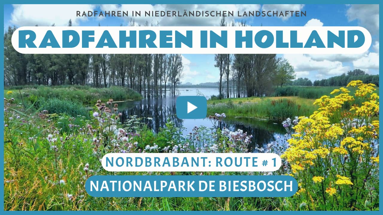Virtuelle Radtour durch den Nationalpark De Biesbosch