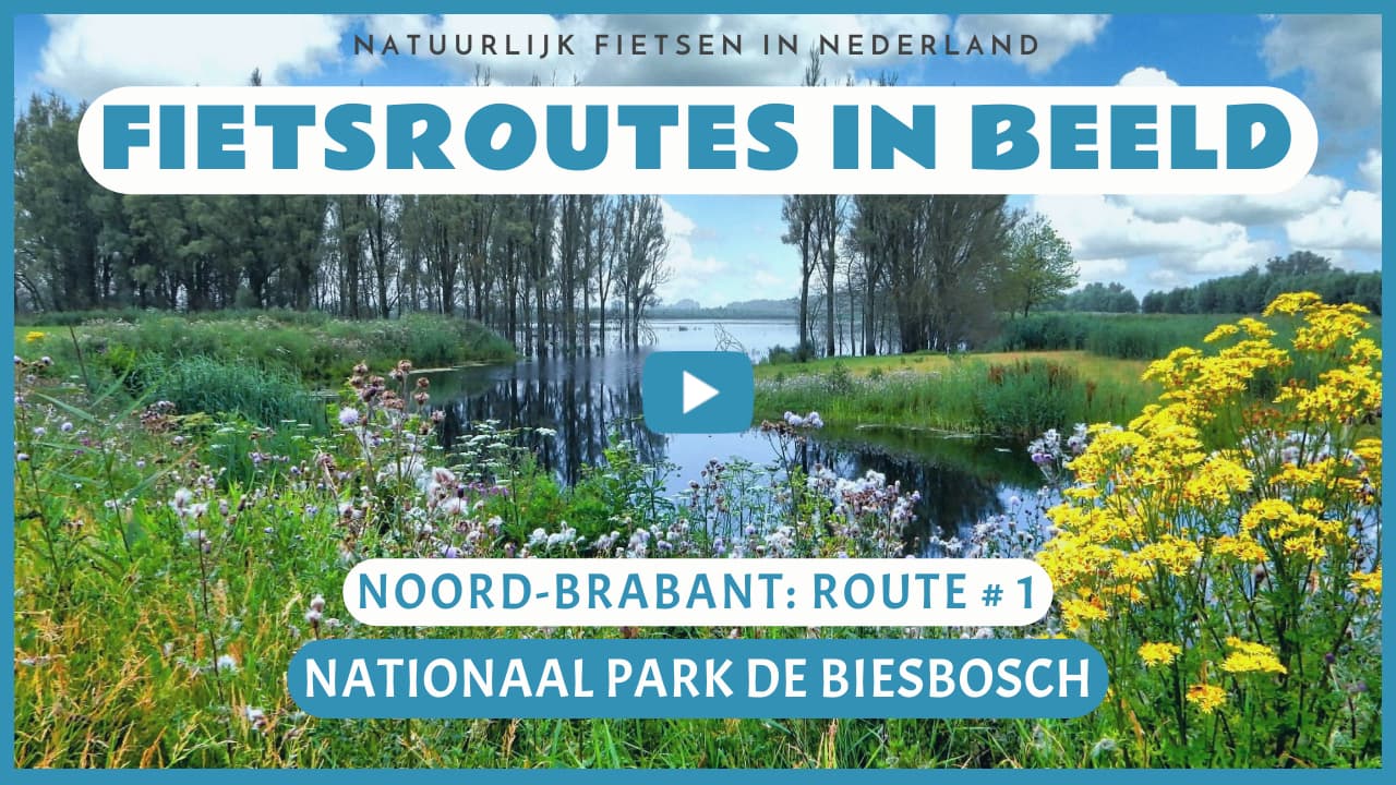 Virtueel fietsen door het Nationaal Park De Biesbosch