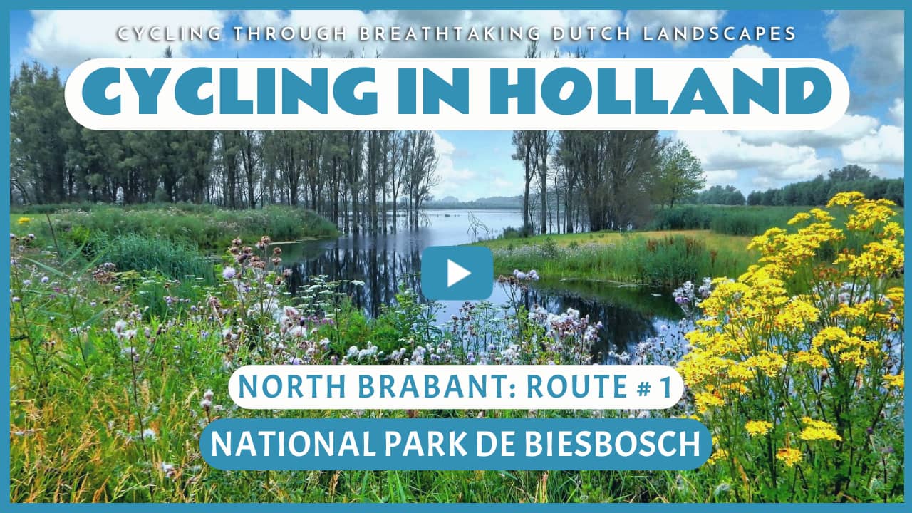 Virtual cycling through the National Park De Biesbosch
