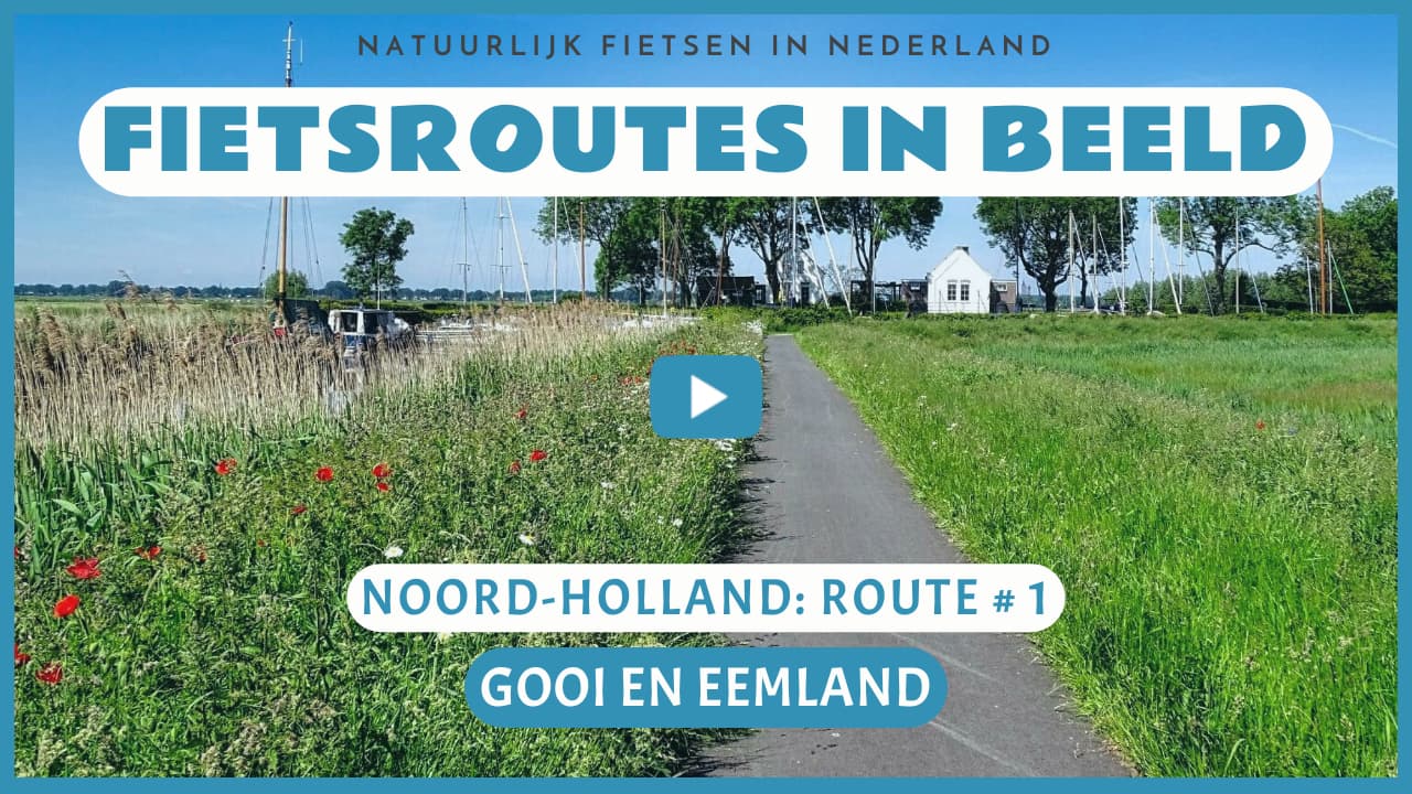 Virtueel fietsen door het Gooi en het Eemland