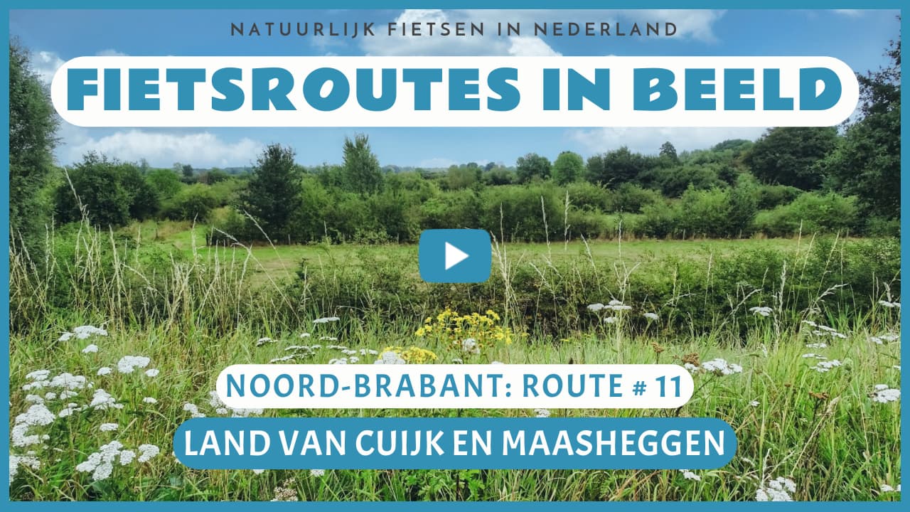 Virtueel fietsen in het Land van Cuijk en de Maasheggen