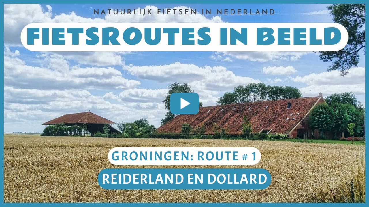 Virtueel fietsen door het Reiderland en de Dollard