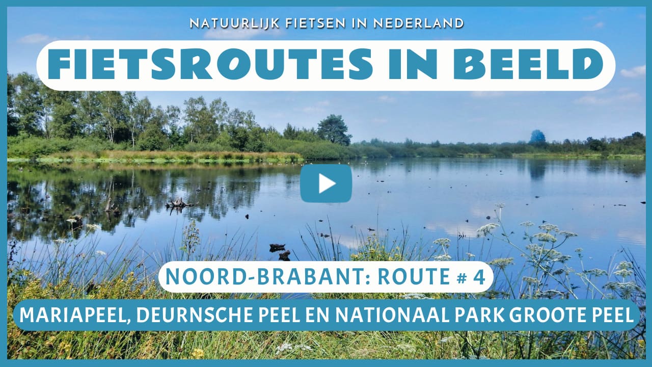 Virtueel fietsen door de Mariapeel, de Deurnsche Peel en het Nationaal Park Groote Peel