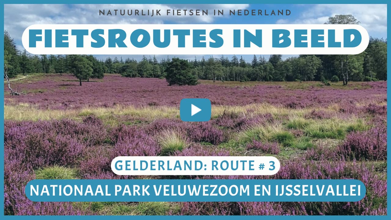 Virtueel fietsen door het Nationaal Park Veluwezoom en de IJsselvallei