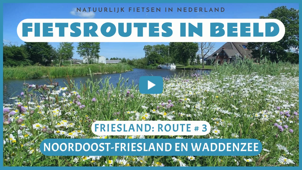 Virtueel fietsen door Noordoost-Friesland en langs de Waddenzee