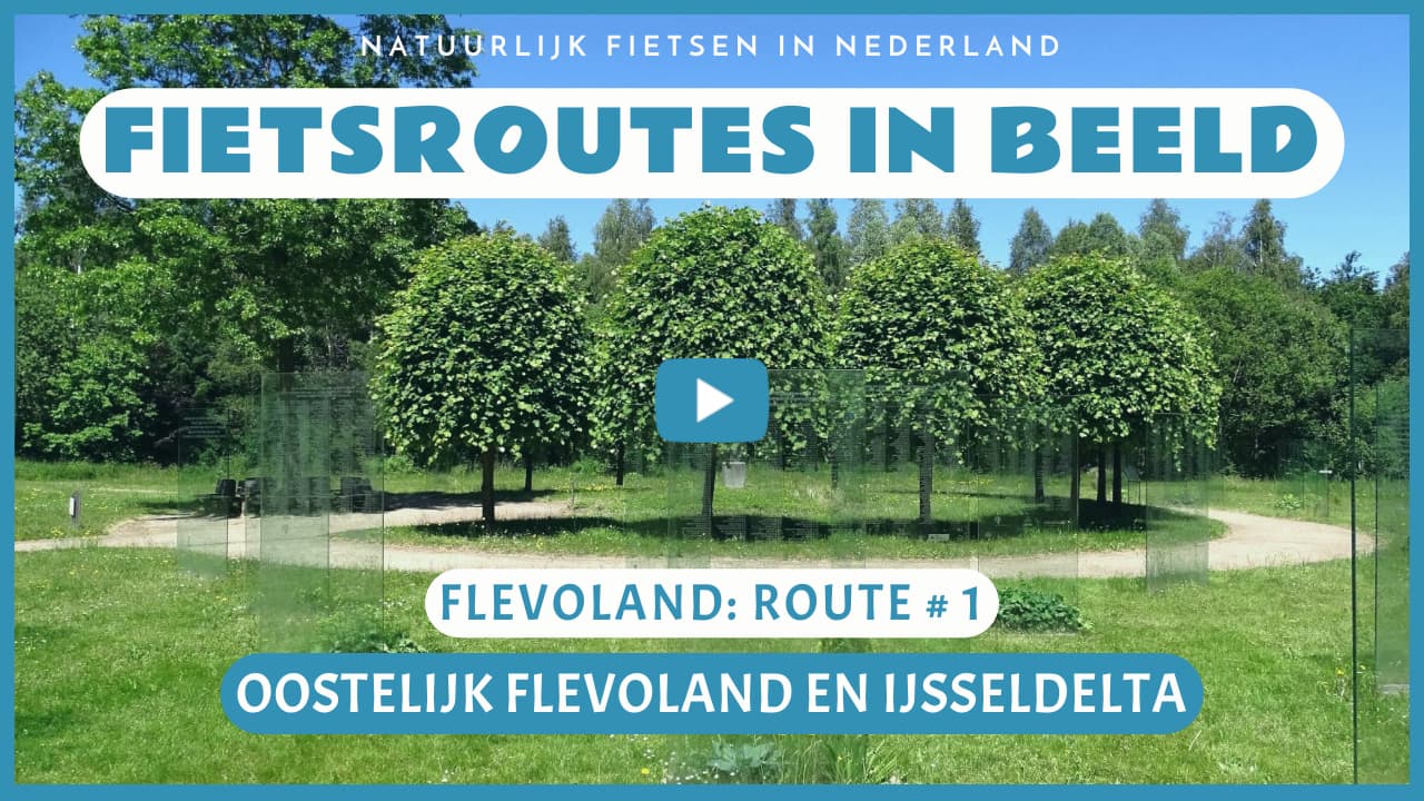 Virtueel fietsen door Oostelijk Flevoland en de IJsseldelta