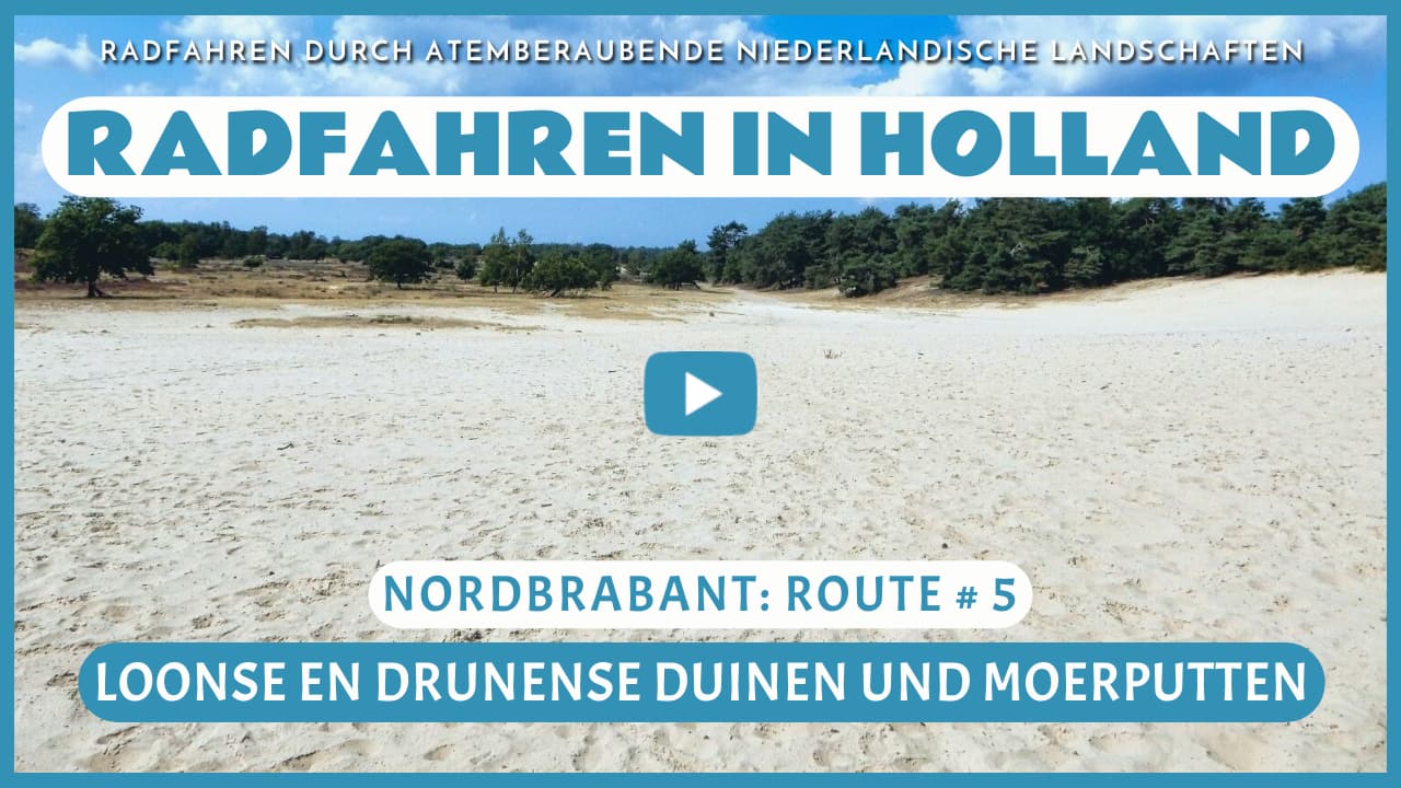 Virtuelles Radfahren durch die Loonse en Drunense Duinen und die Moerputten