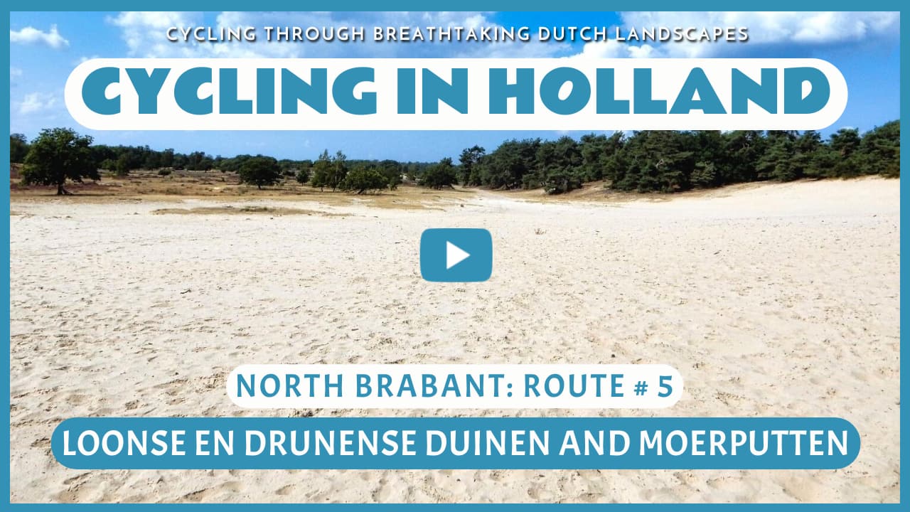 Virtual cycling through the Loonse en Drunense Duinen and the Moerputten