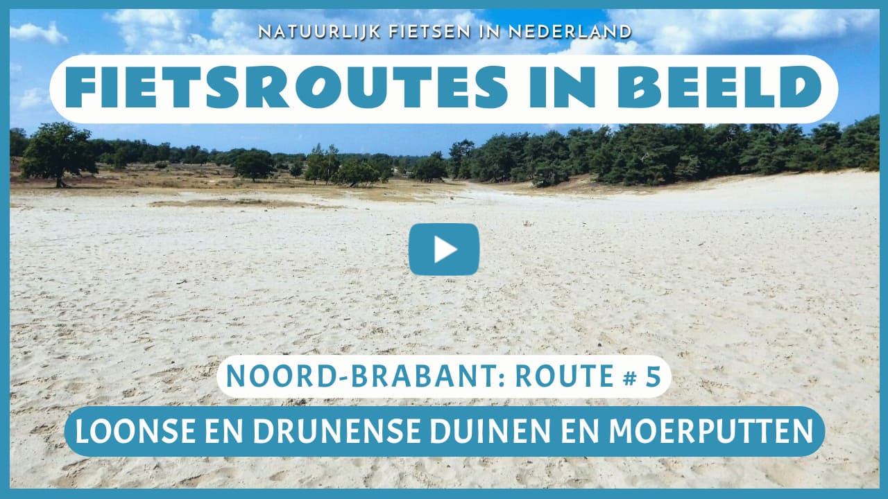 Virtueel fietsen door de Loonse en Drunense Duinen en de Moerputten