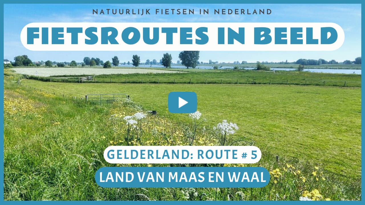 Virtueel fietsen in het Land van Maas en Waal