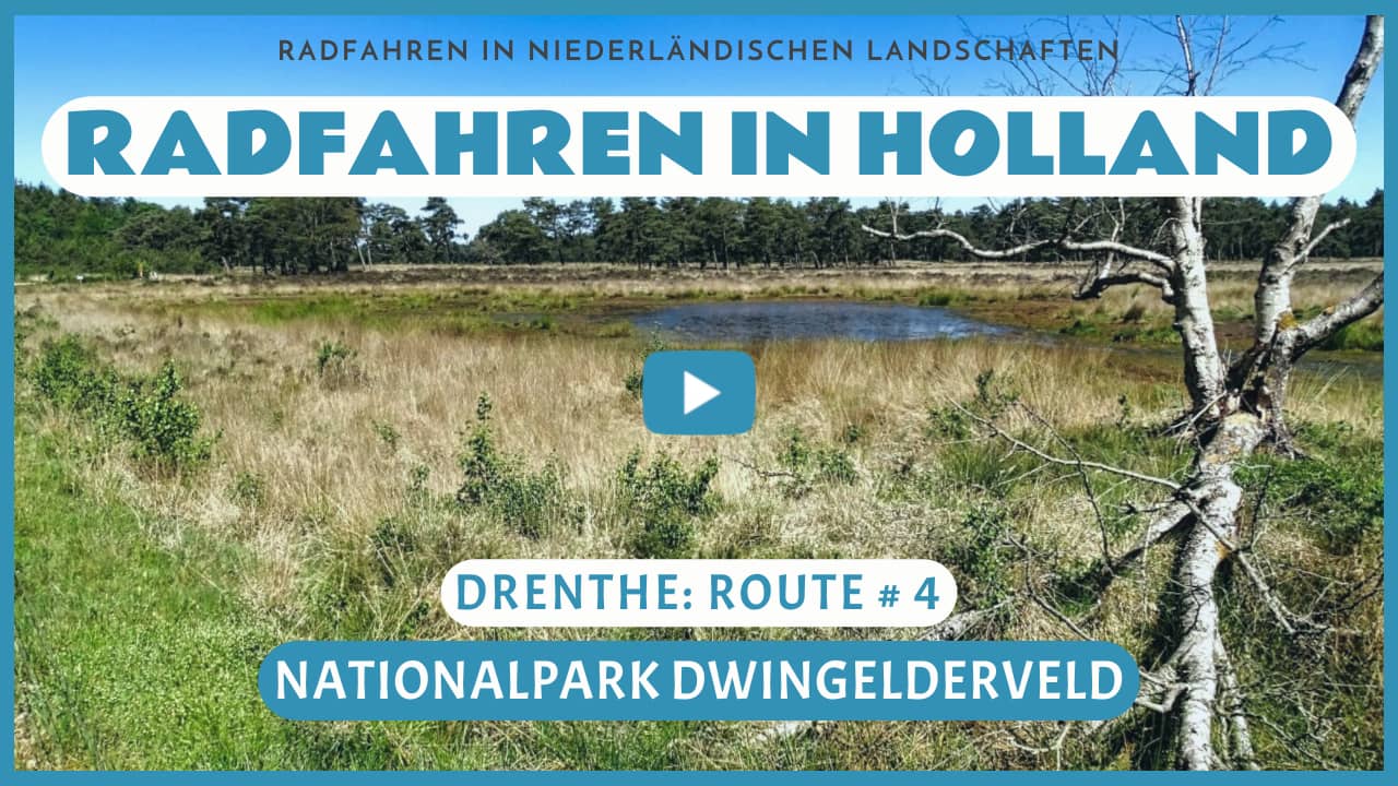 Virtuelles Radfahren durch den Nationalpark Dwingelderveld