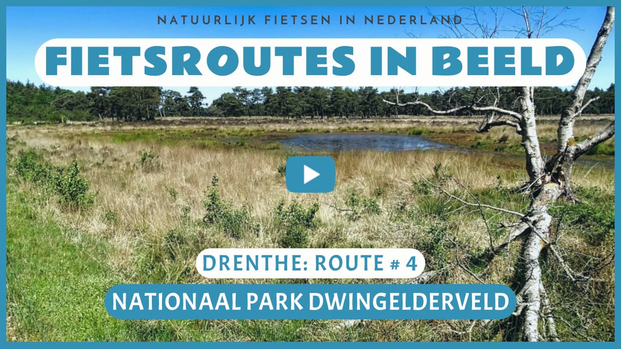Virtueel fietsen door het Nationaal Park Dwingelderveld