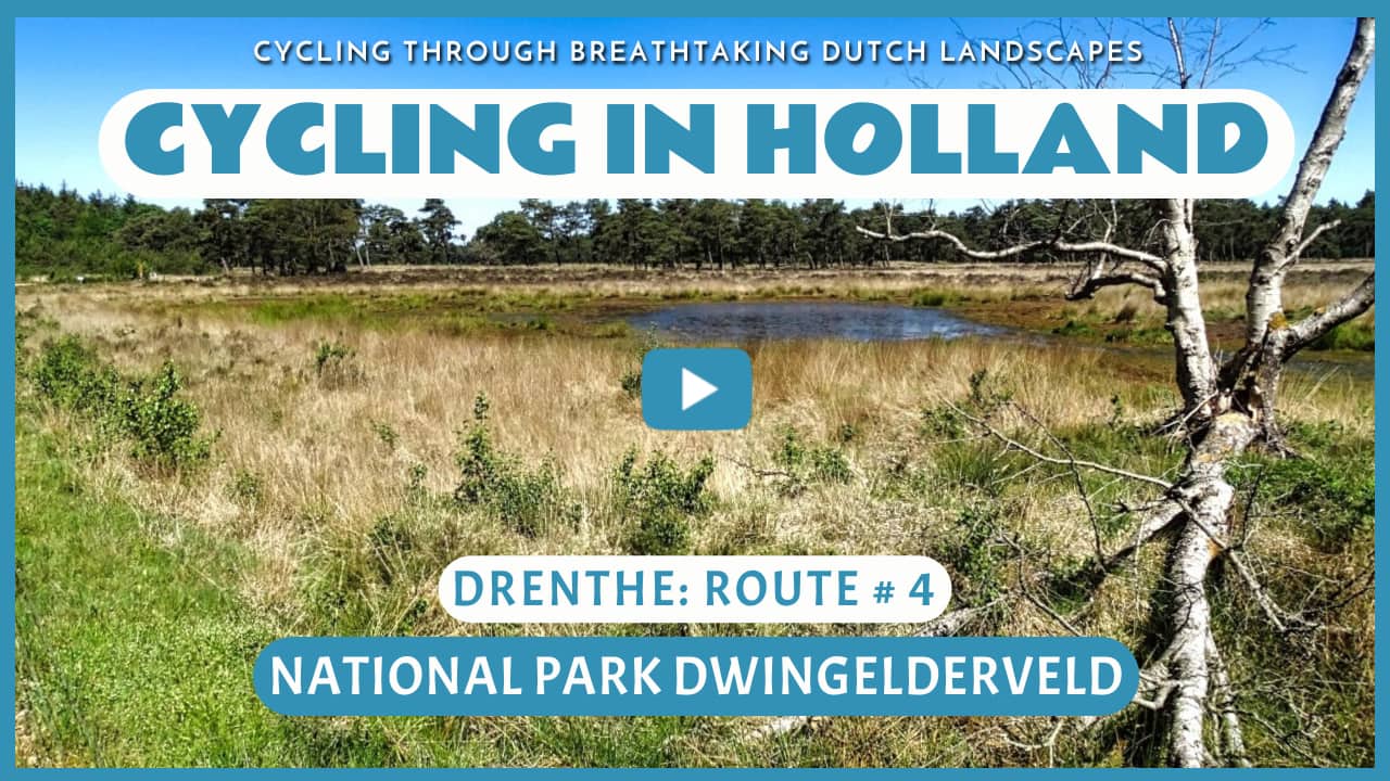 Virtual cycling through the National Park Dwingelderveld