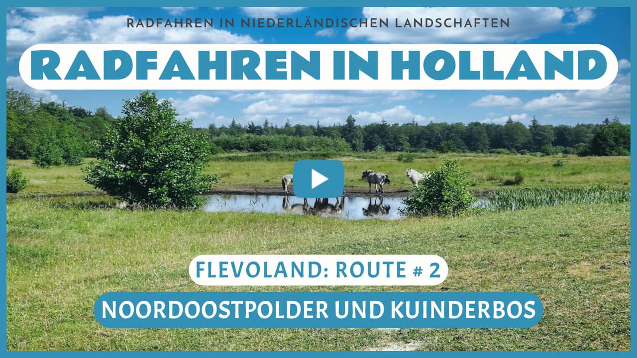 Virtuelles Radfahren in der Noordoostpolder und im Kuinderbos