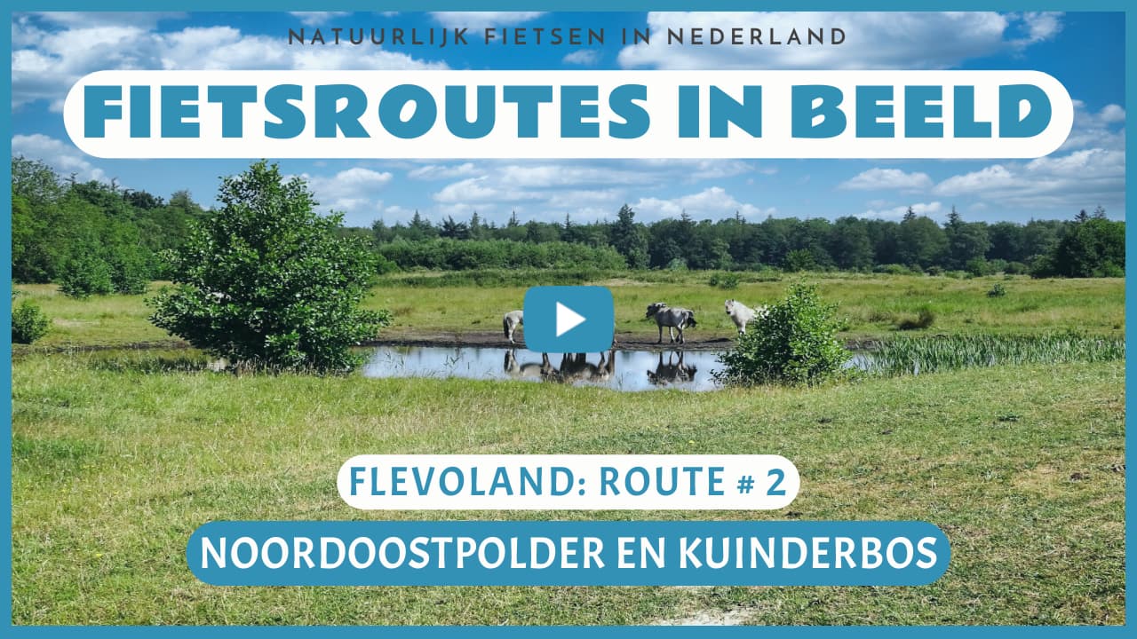 Virtueel fietsen in de Noordoostpolder en het Kuinderbos
