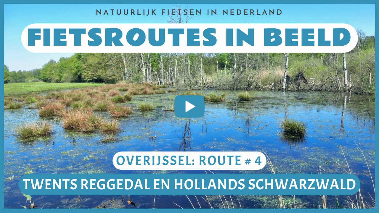 Virtueel fietsen door het Twents Reggedal en het Hollands Schwarzwald