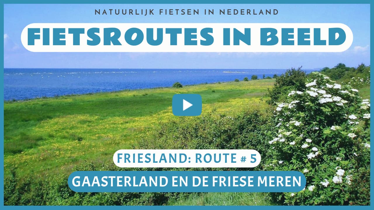 Virtueel fietsen in Gaasterland