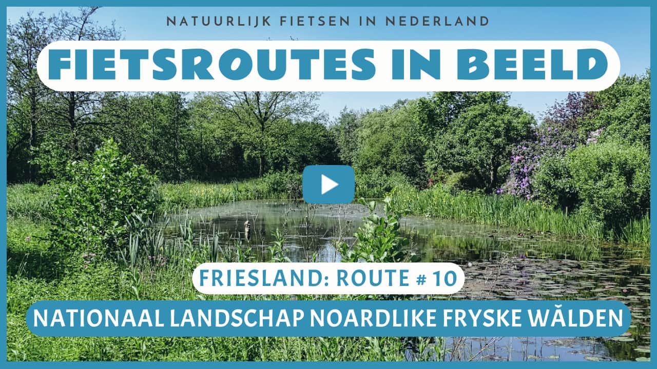 Virtueel fietsen in het Nationaal Landschap Noardlike Fryske Wâlden