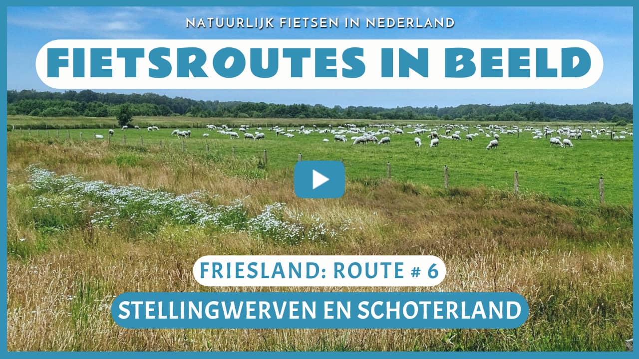 Virtueel fietsen door Stellingwerven en het Schoterland