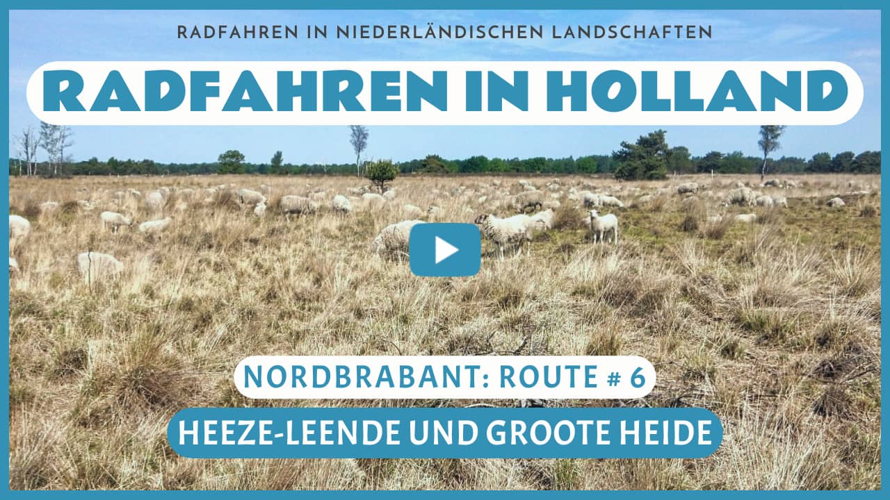Virtuelle Radtour durch Heeze-Leende und die Groote Heide