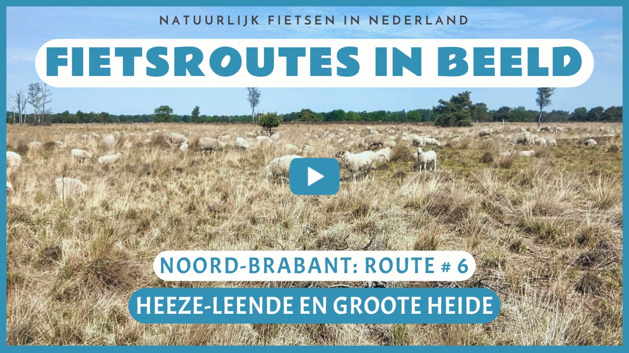 Virtueel fietsen door Heeze-Leende en de Groote Heide