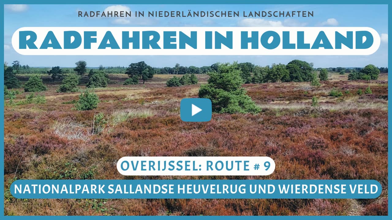Virtuelles Radfahren im Nationalpark Sallandse Heuvelrug und im Wierdense Veld