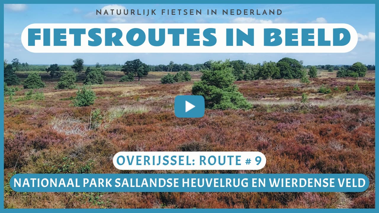 Virtueel fietsen door het Nationaal Park Sallandse Heuvelrug en het Wierdense Veld